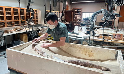 Fossil Lab - news article feb 2026