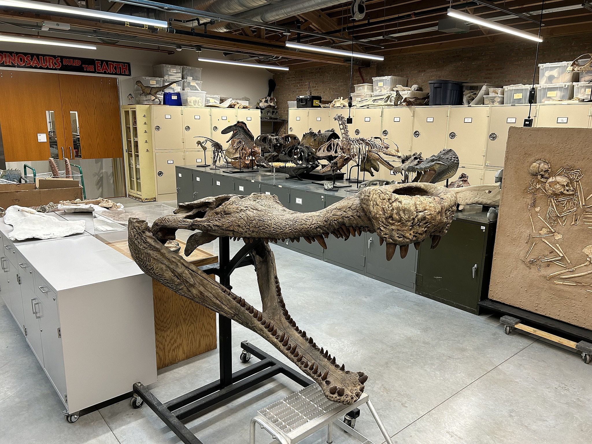 fossil lab